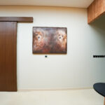 Custom joinery and branding finishes in Dubai pet grooming interior fit-out